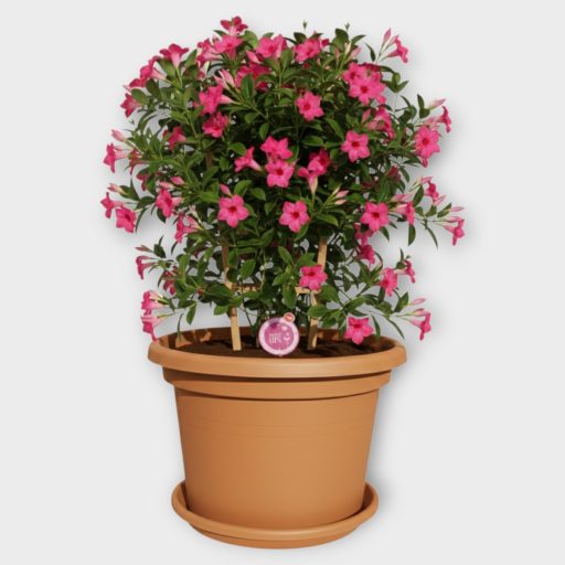Virágcserép alátéttel Cilindro 35cm