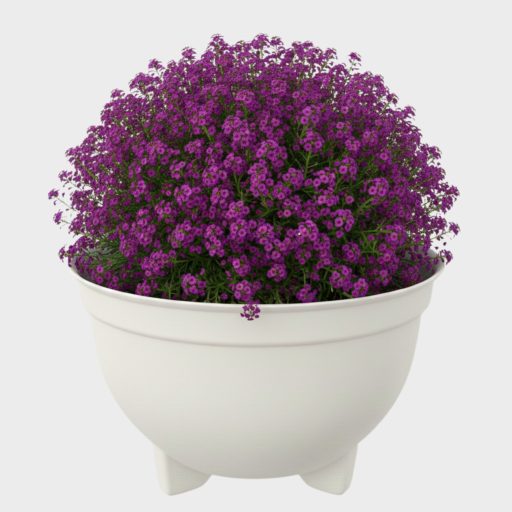 Kaspó / virágtál 3 lábú 36cm